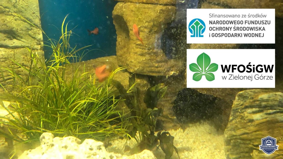 Czysta woda i mój podwodny świat